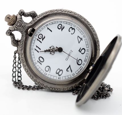 tbbb_black_butler_ant__black_face